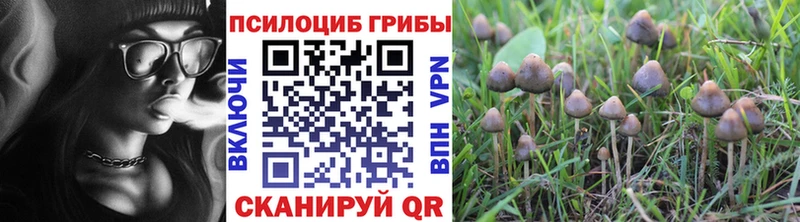 Псилоцибиновые грибы мицелий  hydra рабочий сайт  Ясный  купить закладку 